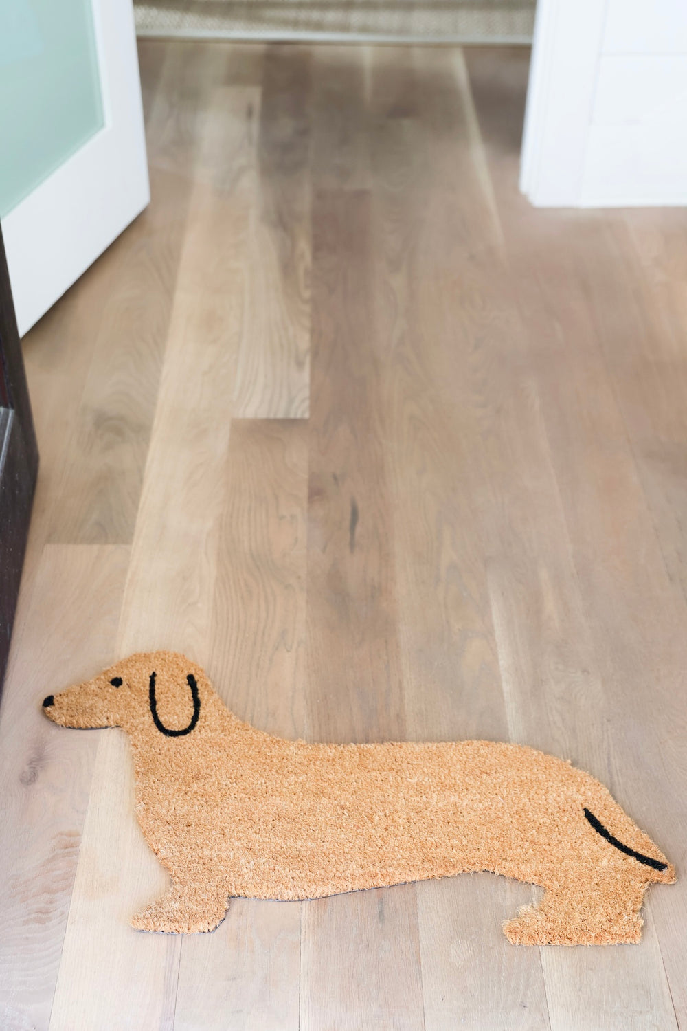 Bud the Dachshund Doormat Seaside Florida