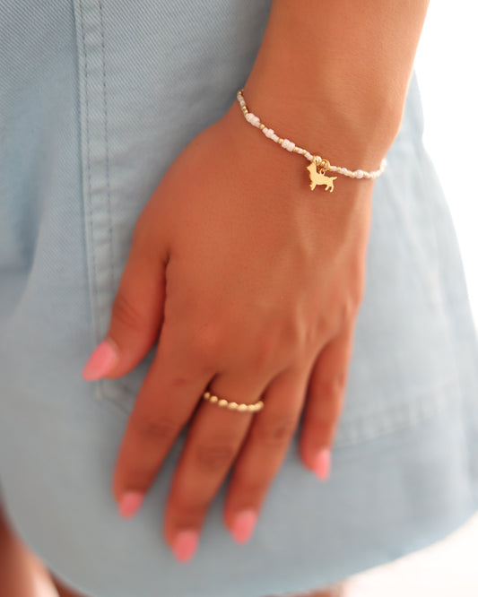Enewton Hope Unwritten Bud the Dachshund Charm Bracelet Shell We Dance Seaside Florida 30A The Seaside Style