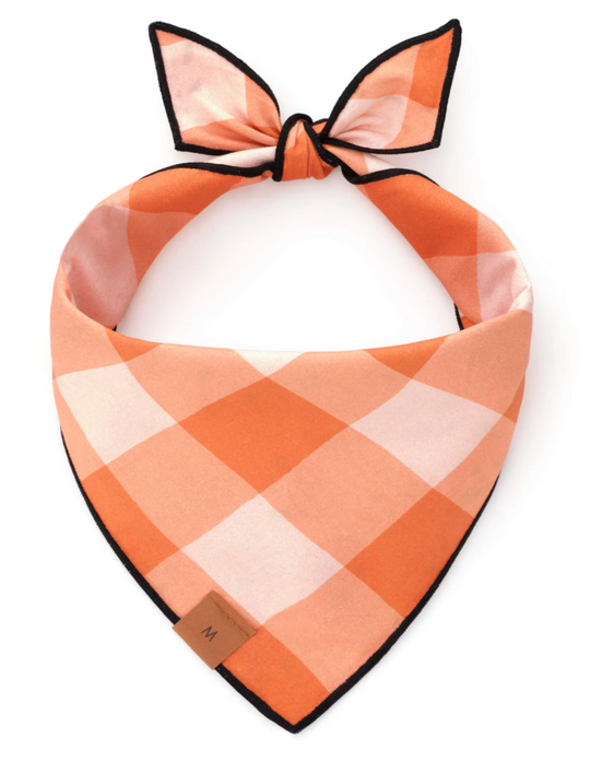 Jack-o’-Lanterns Reversible Dog Bandana