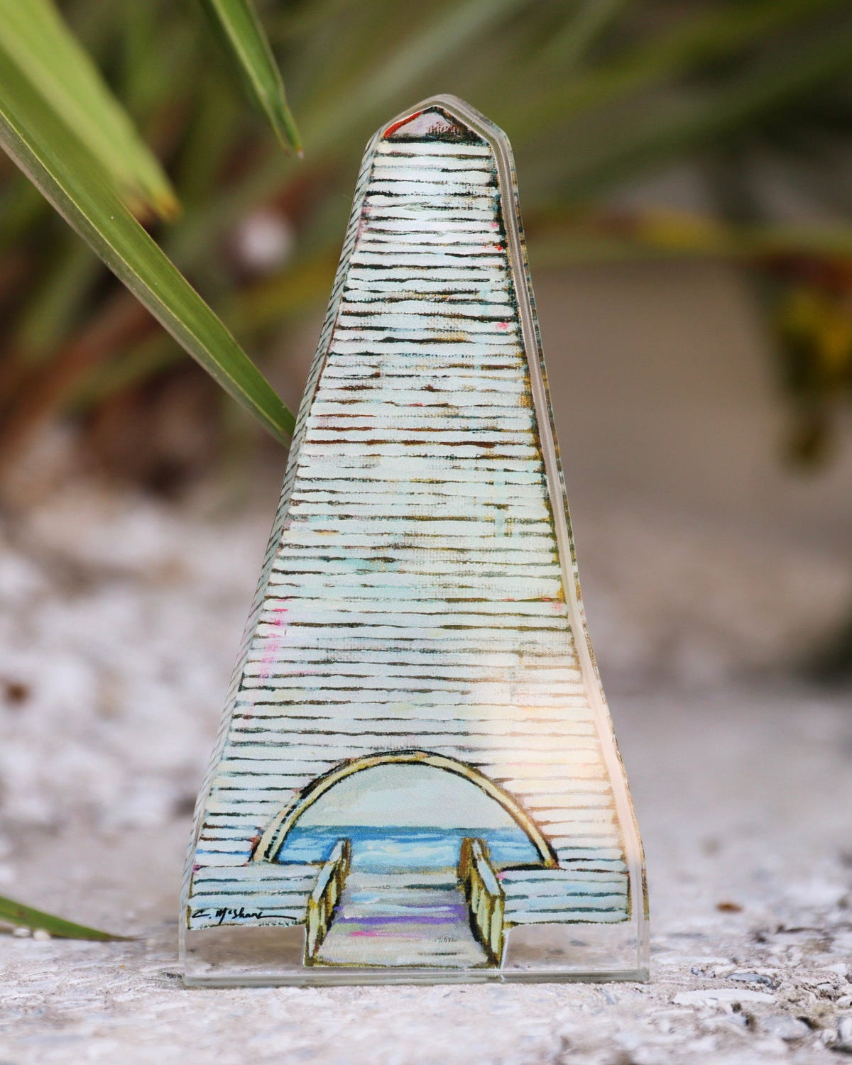 Seaside Coleman Pavilion Acrylic Shelfie
