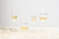 Acrylic Seaside Stemless Wine Glass