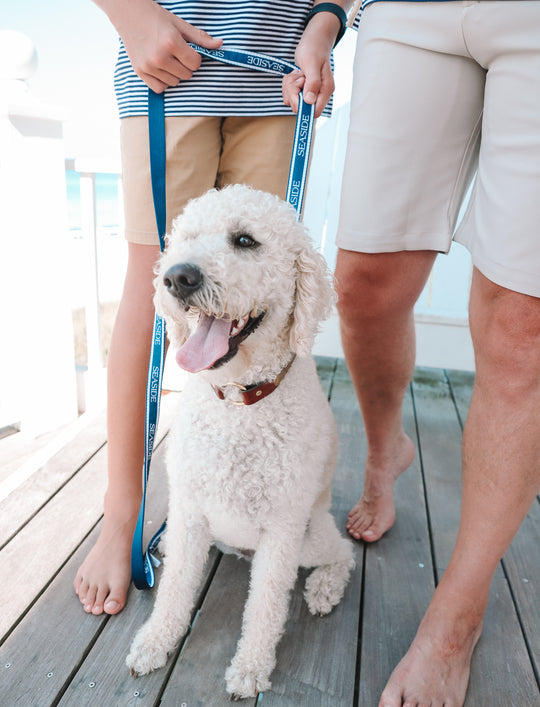 Navy and White 6 foot dog leash