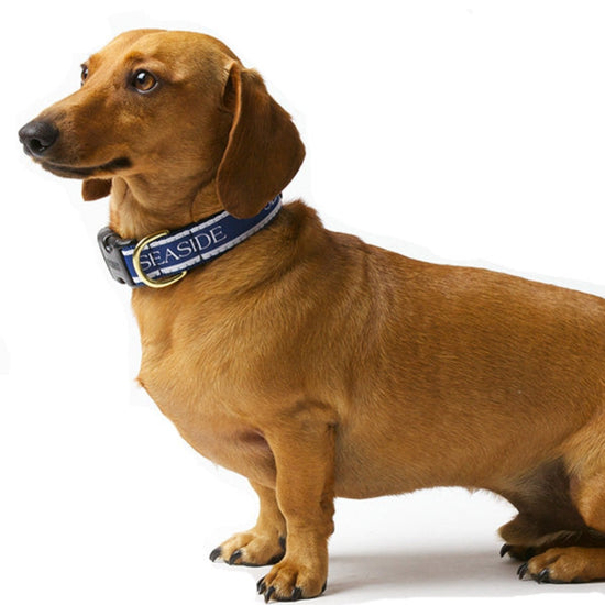 Navy Adjustable SEASIDE® Collar with White Lettering