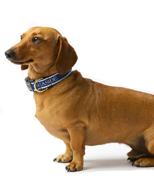 Navy Adjustable SEASIDE® Collar with White Lettering