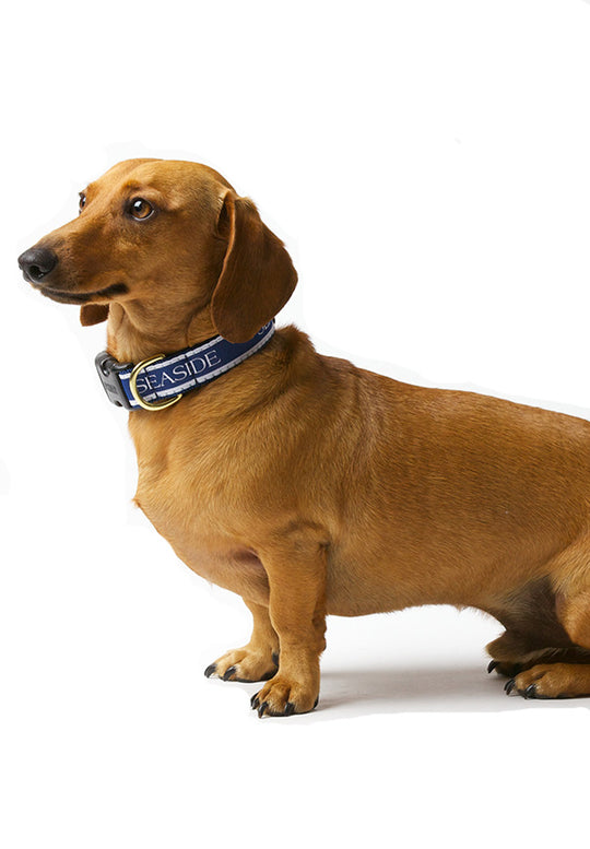 Navy Adjustable SEASIDE® Collar with White Lettering