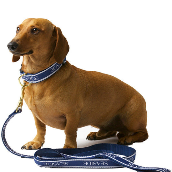 6 foot Navy Blue Bud the Dachshund Seaside Leash