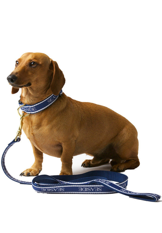 6 foot Navy Blue Bud the Dachshund Seaside Leash